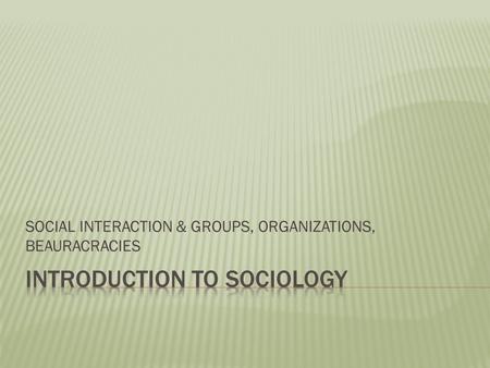 SOCIAL INTERACTION & GROUPS, ORGANIZATIONS, BEAURACRACIES.