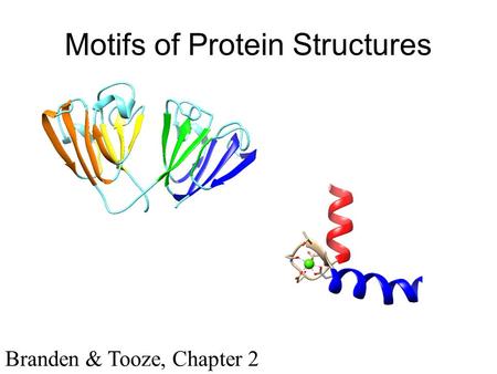 Motifs of Protein Structures Branden & Tooze, Chapter 2.