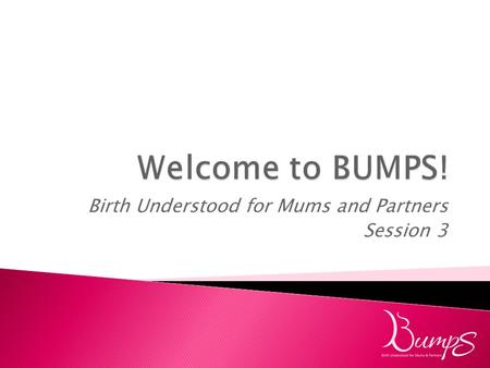 Birth Understood for Mums and Partners Session 3.