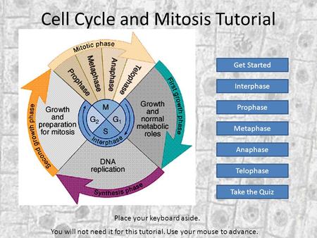 Cell Cycle and Mitosis Tutorial