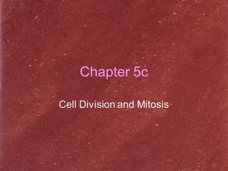 Cell Division and Mitosis