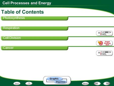 Cell Processes and Energy Photosynthesis Respiration Cell Division Cancer Table of Contents.