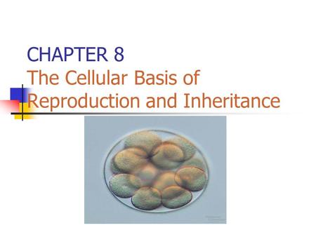 CHAPTER 8 The Cellular Basis of Reproduction and Inheritance