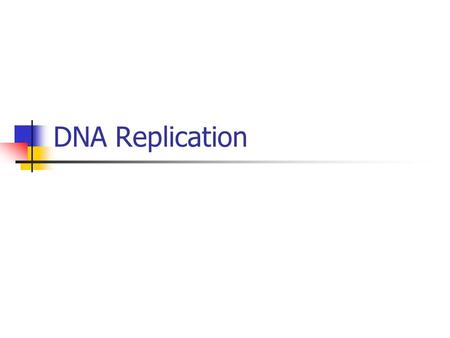 DNA Replication. Synthesis Phase (S phase) S phase in interphase of the cell cycle. Nucleus of eukaryotes Mitosis -prophase -metaphase -anaphase -telophase.