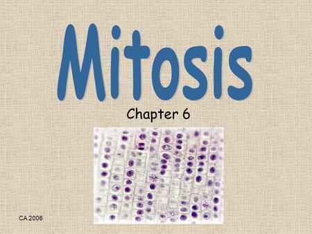 CA 2006 Chapter 6. CA 2006 Why do cells divide? CA 2006 Cell Reproduction/Cell Cycle A process that your body uses to make new cells in order to grow.