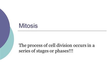 The process of cell division occurs in a series of stages or phases!!!