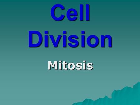 Cell Division Mitosis. Chromosomes  Eukaryotes  Found in the nucleus  Contain most of the genes  Made up of two sister chromatids, joined by a centromere.