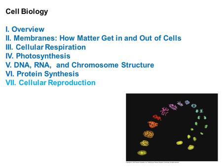 Cell Biology I. Overview II. Membranes: How Matter Get in and Out of Cells III. Cellular Respiration IV. Photosynthesis V. DNA, RNA, and Chromosome Structure.