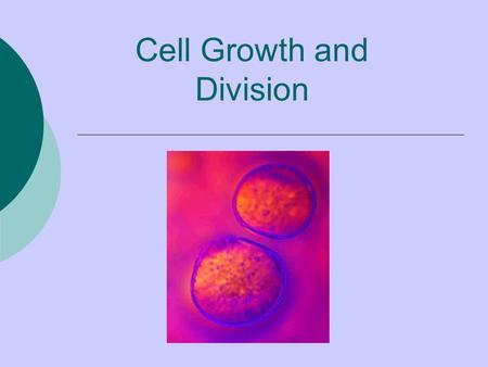 Cell Growth and Division