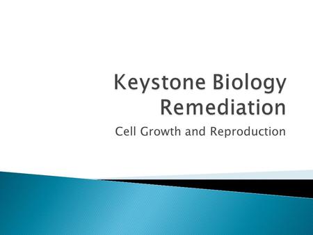 Keystone Biology Remediation