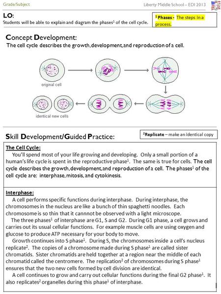 Skill Development/Guided Practice: