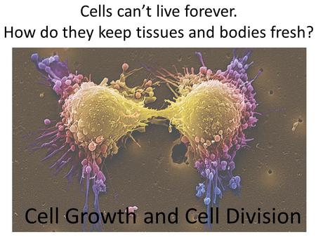 Cells can’t live forever. How do they keep tissues and bodies fresh? Cell Growth and Cell Division.