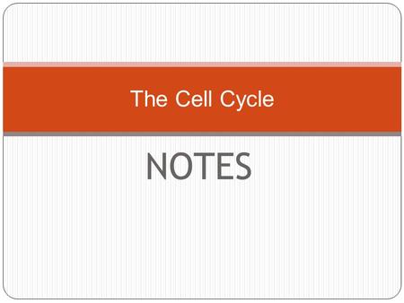 NOTES The Cell Cycle. Today’s agenda: Review cancer Review Mitosis DNA worksheet Work from book: page 165 = Homework (or finish in class)