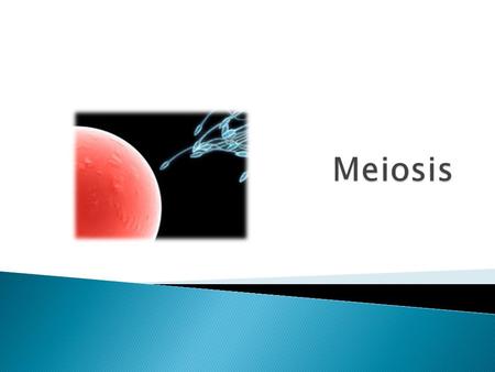  Asexual reproduction yields two identical organisms (with exception of mutations)  Sexual reproduction merges the genes of the two parents  Result: