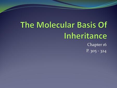 Chapter 16 P. 305 - 324. 16.1 Dna Is The Genetic Material T.H Morgan’s group: showed that genes are located along chromosomes. Two chemical components.