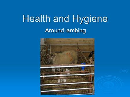 Health and Hygiene Around lambing.