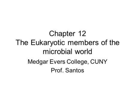 Chapter 12 The Eukaryotic members of the microbial world Medgar Evers College, CUNY Prof. Santos.