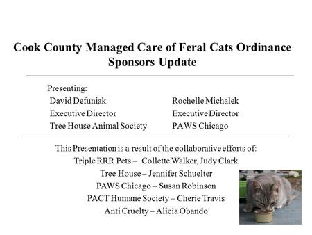 Cook County Managed Care of Feral Cats Ordinance Sponsors Update Presenting: David Defuniak Rochelle Michalek Executive DirectorExecutive Director Tree.