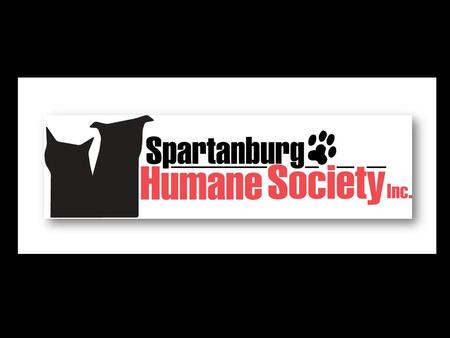 DID YOU KNOW? Every single day the Spartanburg Humane Society cares for nearly 400 animals.