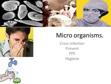 Micro organisms. Cross infection Prevent PPE Hygiene.