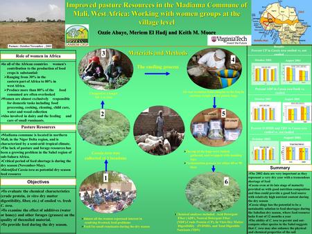 Improved pasture Resources in the Madiama Commune of Mali, West Africa: Working with women groups at the village level Ozzie Abaye, Meriem El Hadj and.