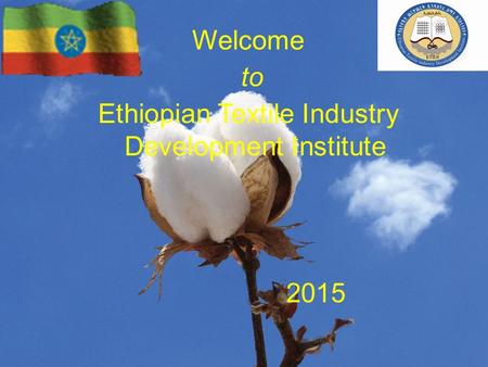 Ethiopian Textile Industry Development Institute