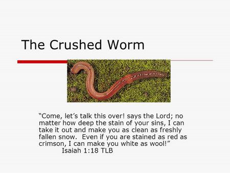 The Crushed Worm “Come, let’s talk this over! says the Lord; no matter how deep the stain of your sins, I can take it out and make you as clean as freshly.