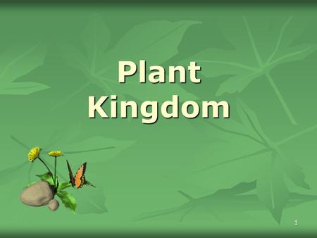 Plant Kingdom.