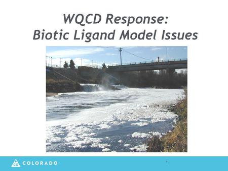 WQCD Response: Biotic Ligand Model Issues 1. Overview Biotic Ligand Model (BLM) is a relatively new tool from EPA for developing site-specific criterion-based.