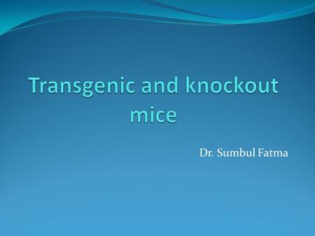 Transgenic and knockout mice