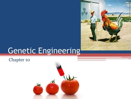 Genetic Engineering Chapter 10.