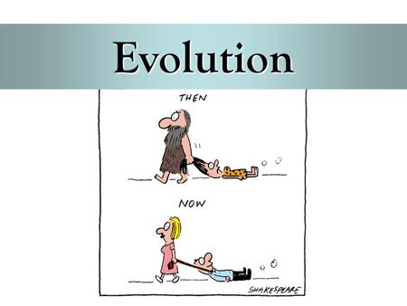 Evolution.