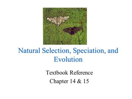 Natural Selection, Speciation, and Evolution