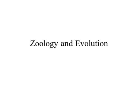 Zoology and Evolution. Zoology The scientific study of animals What is an animal?