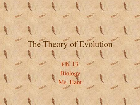 The Theory of Evolution Ch. 13 Biology Ms. Haut. Lamarck’s Theory of Acquired Inheritance (early 1800s) Jean Baptiste Lamarck observed fossil records.