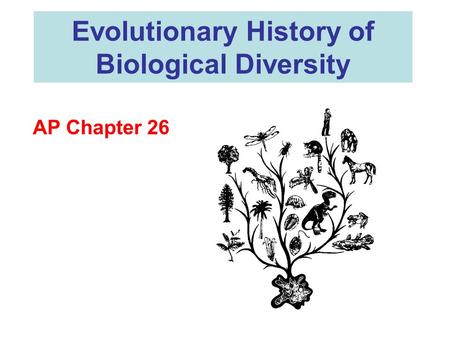 Evolutionary History of Biological Diversity AP Chapter 26.