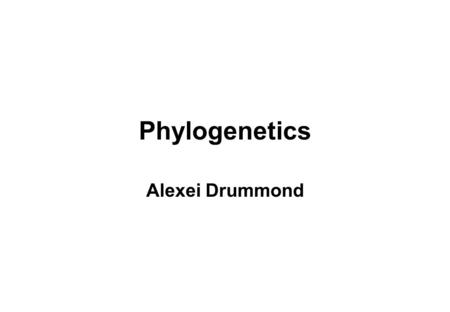 Phylogenetics Alexei Drummond. CS369 20072 Friday quiz: How many rooted binary trees having 20 labeled terminal nodes are there? (A) 2027025 (B) 34459425.