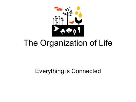 The Organization of Life