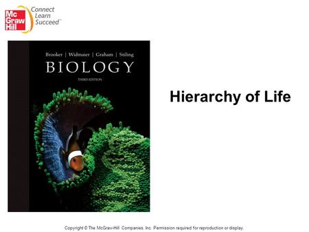 Hierarchy of Life Copyright © The McGraw-Hill Companies, Inc. Permission required for reproduction or display.