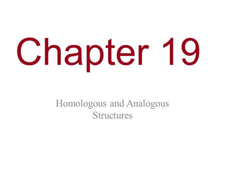 Homologous and Analogous Structures