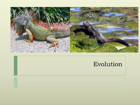 Evolution.  Change over time  Gradual  Large groups (not individuals)