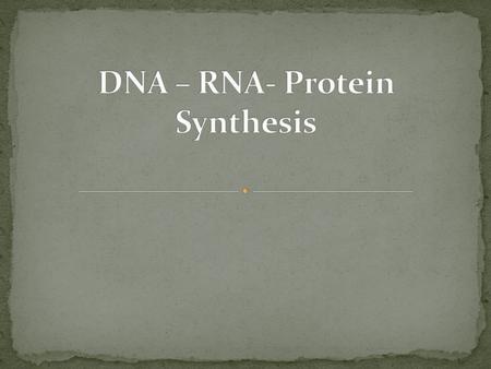 1. 5 carbon sugar- deoxyribose 2. Phosphate group 3. Nitrogen bases- A T G C (adenine, thymine, guanine, cytosine)