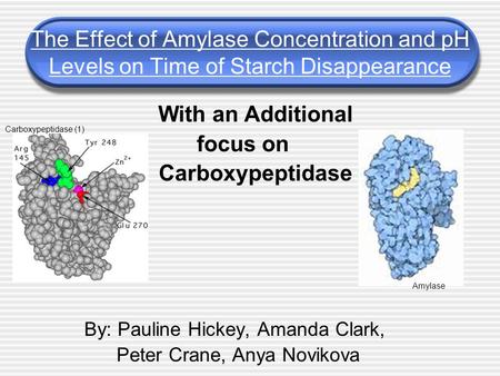 The Effect of Amylase Concentration and pH Levels on Time of Starch Disappearance With an Additional focus on Carboxypeptidase By: Pauline Hickey, Amanda.