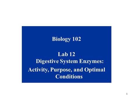 Lab 12 Digestive System Enzymes: