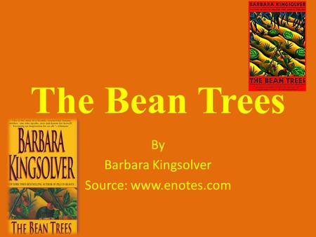 The Bean Trees By Barbara Kingsolver Source: www.enotes.com.