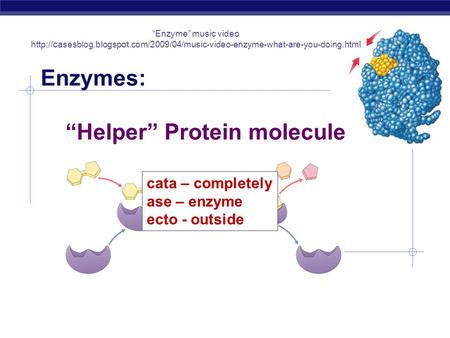 Enzymes: “Helper” Protein molecules