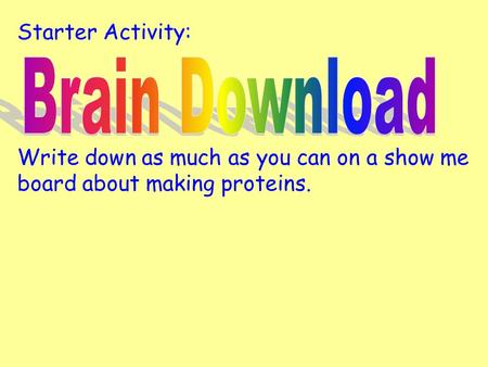 Starter Activity: Write down as much as you can on a show me board about making proteins.