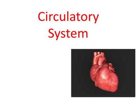 Circulatory System. Go with the Flow! The Circulatory System moves fluids around the body and protects it from disease. Video.