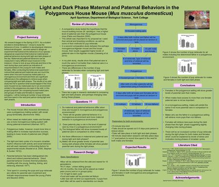 Light and Dark Phase Maternal and Paternal Behaviors in the Polygamous House Mouse (Mus musculus domesticus) April Sparkman, Department of Biological Science,