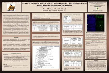 Candidate division SR1 has primarily been detected in sulfide/sulfur-rich, anaerobic environments, such as, Zodletone Spring (S.W.Oklahoma), hydrothermal.